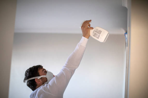 Best Mold Remediation Experts  in La Honda, CA