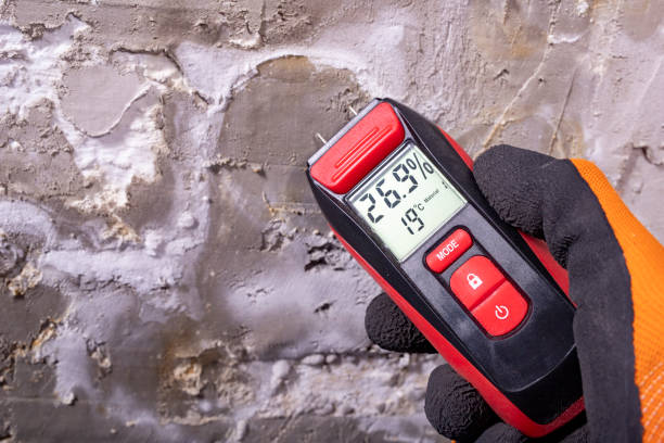 Best Toxic Mold Removal  in La Honda, CA