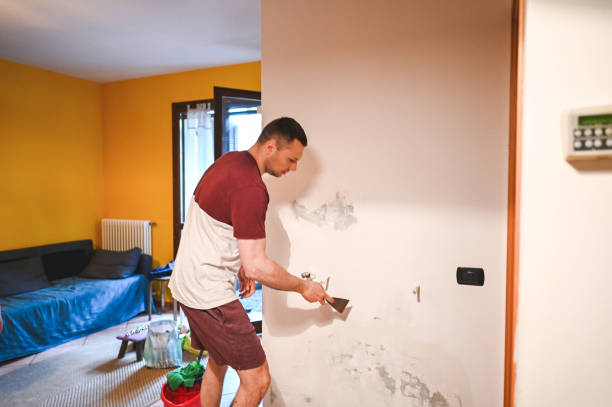Best Professional Mold Removal  in La Honda, CA
